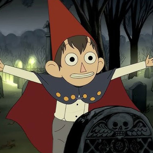 wirt from otgw